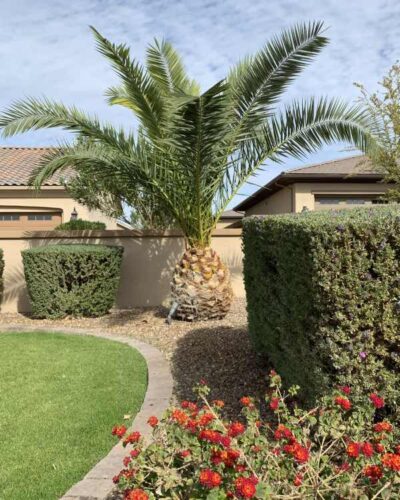 Thunder Landscape – AZ Landscaping Maintenance & Design